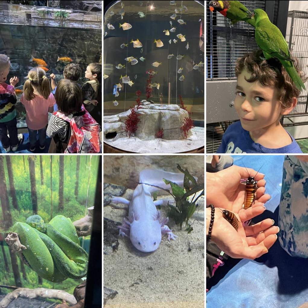 aquarium
